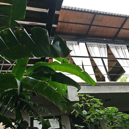 La Flor Casa Boutique Bed & Breakfast Valladolid  Luaran gambar